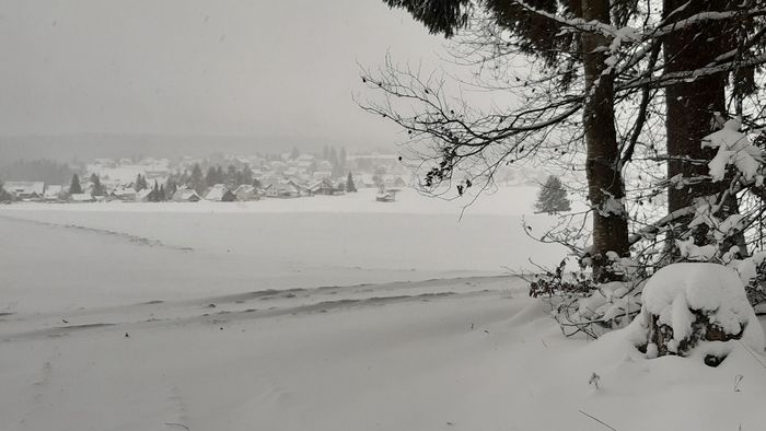 Kalte Temperaturen und Schnee verwandeln die Landschaft in ein echtes Winterwonderland.