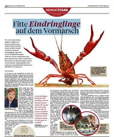 Wie wirken sich invasive Arten auf unser Ökostem aus? Die PZ hat ein Interview mit dem BUND dazu geführt.