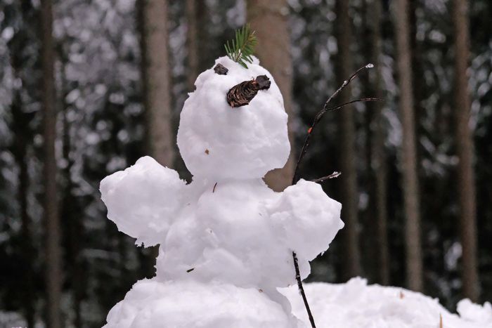 Der Winter tut sich auch im Dezember 2020 schwer. Trotzdem hat es am 2. Advent für einen Schneemann gereicht.